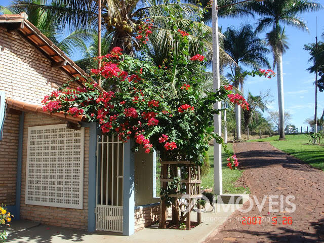 #chacara001 - Chácara para Venda em São Simão - GO - 1