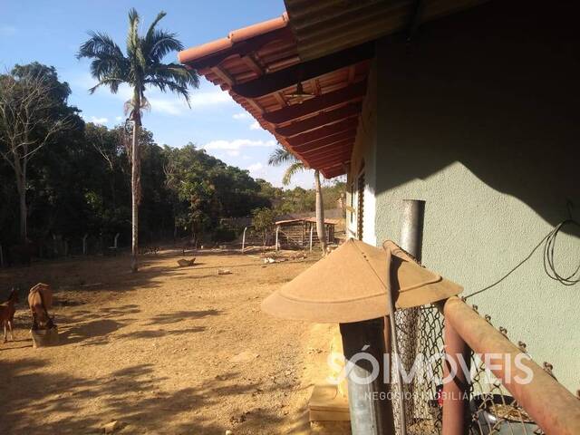 #chacara003 - Chácara para Venda em Caldas Novas - GO - 2