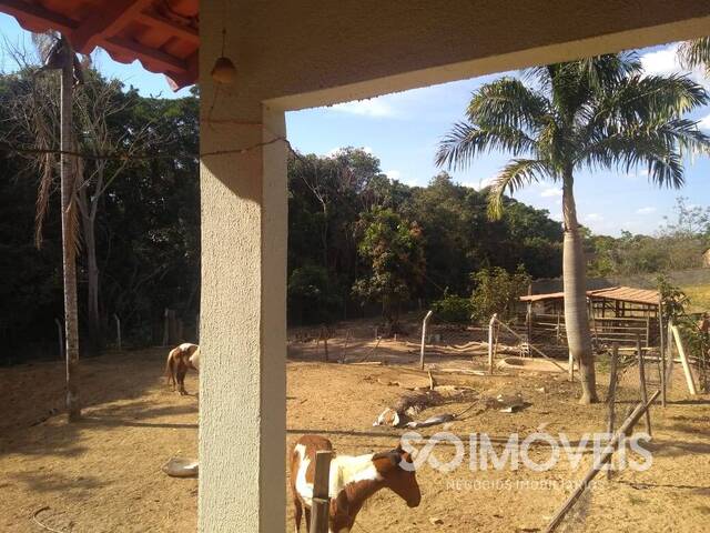 #chacara003 - Chácara para Venda em Caldas Novas - GO - 1