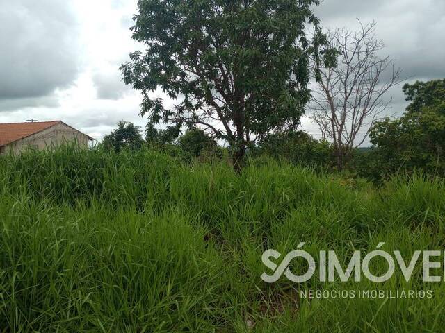 Área para Venda em Caldas Novas - 3